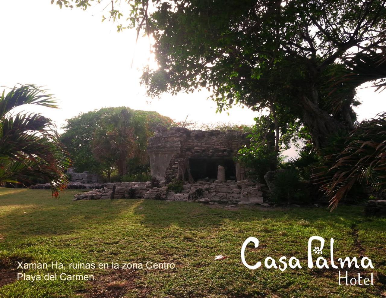 Casa Palma Hotel Плая-дель-Кармен Экстерьер фото
